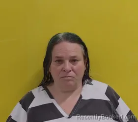 Mugshot of Stephanie Crystal Hess booked in Fairfield County, Ohio on October 27, 2026