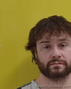 Mugshot of MICHAEL BRENT COLLINS