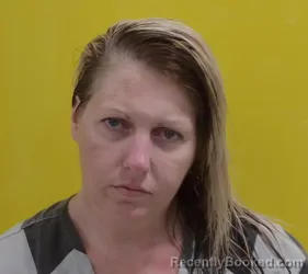 Mugshot of BRANDY NICOLE MALONE booked in Fairfield County, Ohio on July 8, 2026