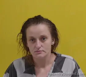 Mugshot of Danyelle Ilene Mcclelland booked in Fairfield County, Ohio on September 6, 2026