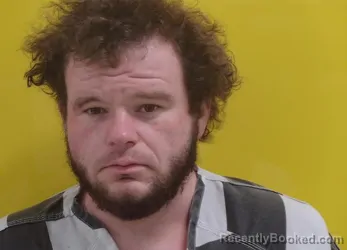 Mugshot of JAMES DANNER