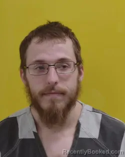 Mugshot of AUSTIN LEE WILLIAMS