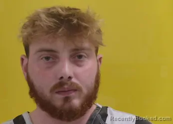 Mugshot of GABRIEL G LOVE