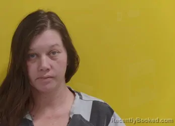 Mugshot of TINA M ABSHIRE