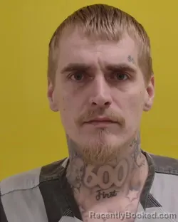 Mugshot of DYLAN MCKENZIE STEWART