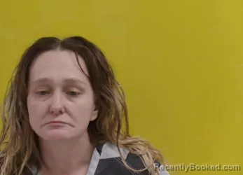 Booking photo from Fairfield County, Ohio