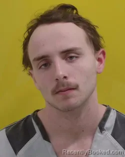 Mugshot of ELI JENKINS