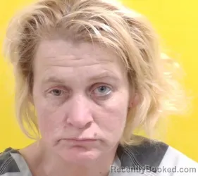 Mugshot of TARA ANN BING