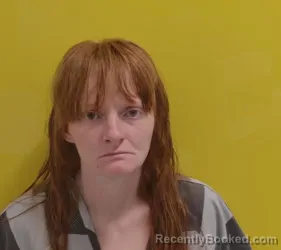 Mugshot of AMY LYNN TIPPLE booked in Fairfield County, Ohio on March 11, 2026