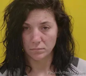 Mugshot of LEANN RUTH JOHNSON