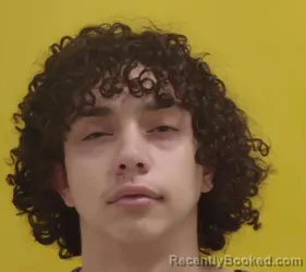 Mugshot of BRAYSON J STRUNK