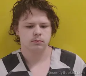 Mugshot of WILLIAM ROBINSON