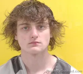 Mugshot of AYDEN DELONG booked in Fairfield County, Ohio on March 26, 2026