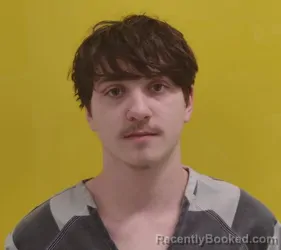 Mugshot of ANTHONY MCNICHOLS booked in Fairfield County, Ohio on March 28, 2026