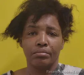 Mugshot of TALANIA MERMER booked in Fairfield County, Ohio on April 4, 2026