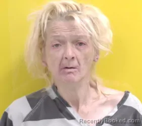 Mugshot of TONYA TERRY booked in Fairfield County, Ohio on April 21, 2026
