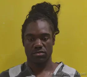 Mugshot of JULIAN BASHAWN WINDHAM booked in Fairfield County, Ohio on April 25, 2026