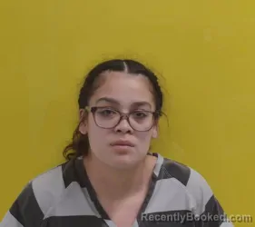 Mugshot of MAKAYLA LYNN SAUNDERS booked in Fairfield County, Ohio on April 27, 2026
