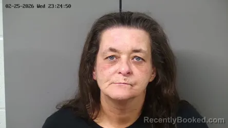 Mugshot of BRENDA ANN WALLEN