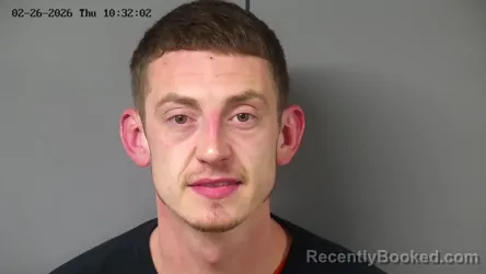 Mugshot of DYLAN MITCHELL VIVIANO