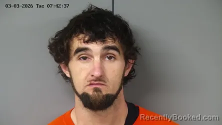 Mugshot of DALTON CHASE FARMER