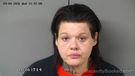 Mugshot of MICHELLE A DAVIS