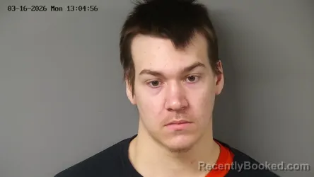 Mugshot of NICHOLAS ZACHARY ETHAN HOLSTEIN