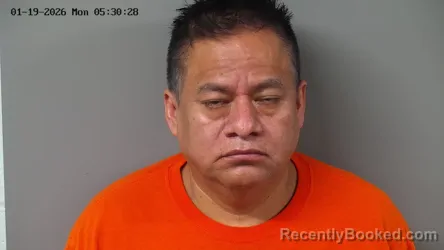 Mugshot of DOROTEO HERNANDEZ BERNAL