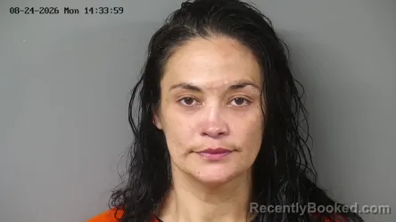 Mugshot of Deanna Ginelle Tweel booked in Fayette County, Ohio on August 24, 2026