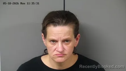 Mugshot of SHANNON MARIE CHANDLER booked in Fayette County, Ohio on May 18, 2026