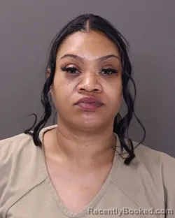 Mugshot of ALICIA MARIE BRILEY booked in Franklin County, Ohio on July 1, 2026