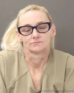 Mugshot of REBECCA J CHAMBERLAIN booked in Franklin County, Ohio on March 27, 2026