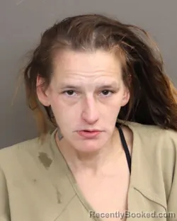 Mugshot of AMY L COLLINS