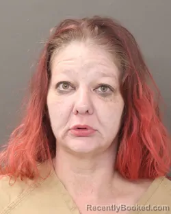 Mugshot of KAREN E DEMING booked in Franklin County, Ohio on March 26, 2026