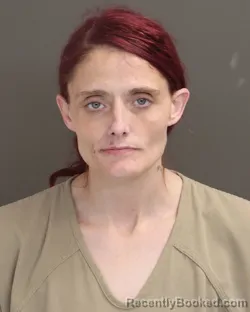 Mugshot of TRACY L FISHER booked in Franklin County, Ohio on April 2, 2026