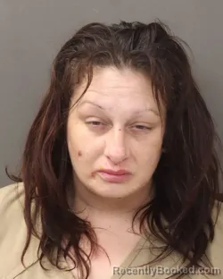 Mugshot of TERESA R HENRY