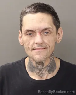 Mugshot of DANNY L HESS