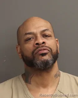 Mugshot of DANA L HOOD booked in Franklin County, Ohio on March 23, 2026