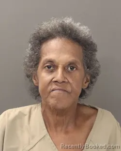 Mugshot of VANORA EZEL HORTON booked in Franklin County, Ohio on March 25, 2026