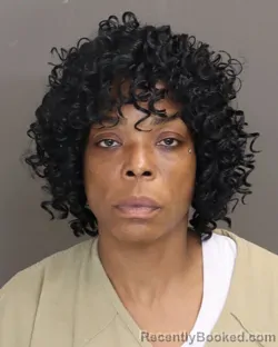 Mugshot of HILLARIE ANNE HUFF booked in Franklin County, Ohio on April 2, 2026