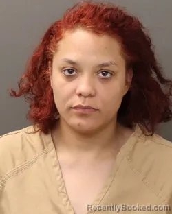 Mugshot of JUANITA JOHNSON booked in Franklin County, Ohio on May 14, 2026