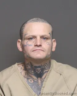 Mugshot of TIMOTHY J MCNEW