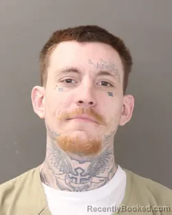 Mugshot of RYAN ALEXANDER MEIER booked in Franklin County, Ohio on March 3, 2026