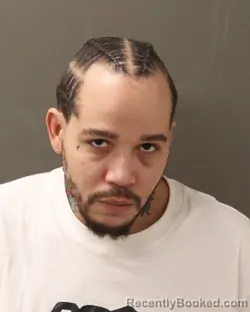 Mugshot of SCOTT A REYNOLDS