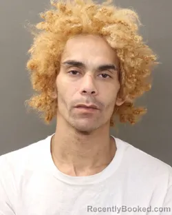 Mugshot of SENSEI DORCUS PAUL ROBERTSON