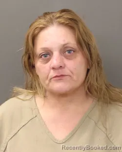 Mugshot of BRANDY MARIE BRIM booked in Franklin County, Ohio on March 13, 2026