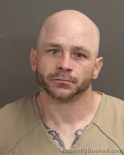 Mugshot of TERRY SHELTON booked in Franklin County, Ohio on March 31, 2026