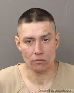 Mugshot of BRANDON LEE SOURITHA