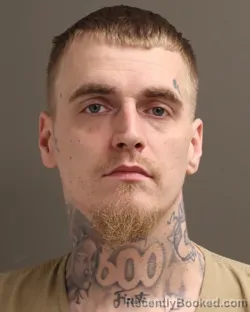 Mugshot of DYLAN M STEWART booked in Franklin County, Ohio on March 28, 2026