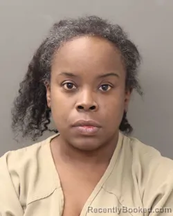 Mugshot of SASHA STOUTMIRE